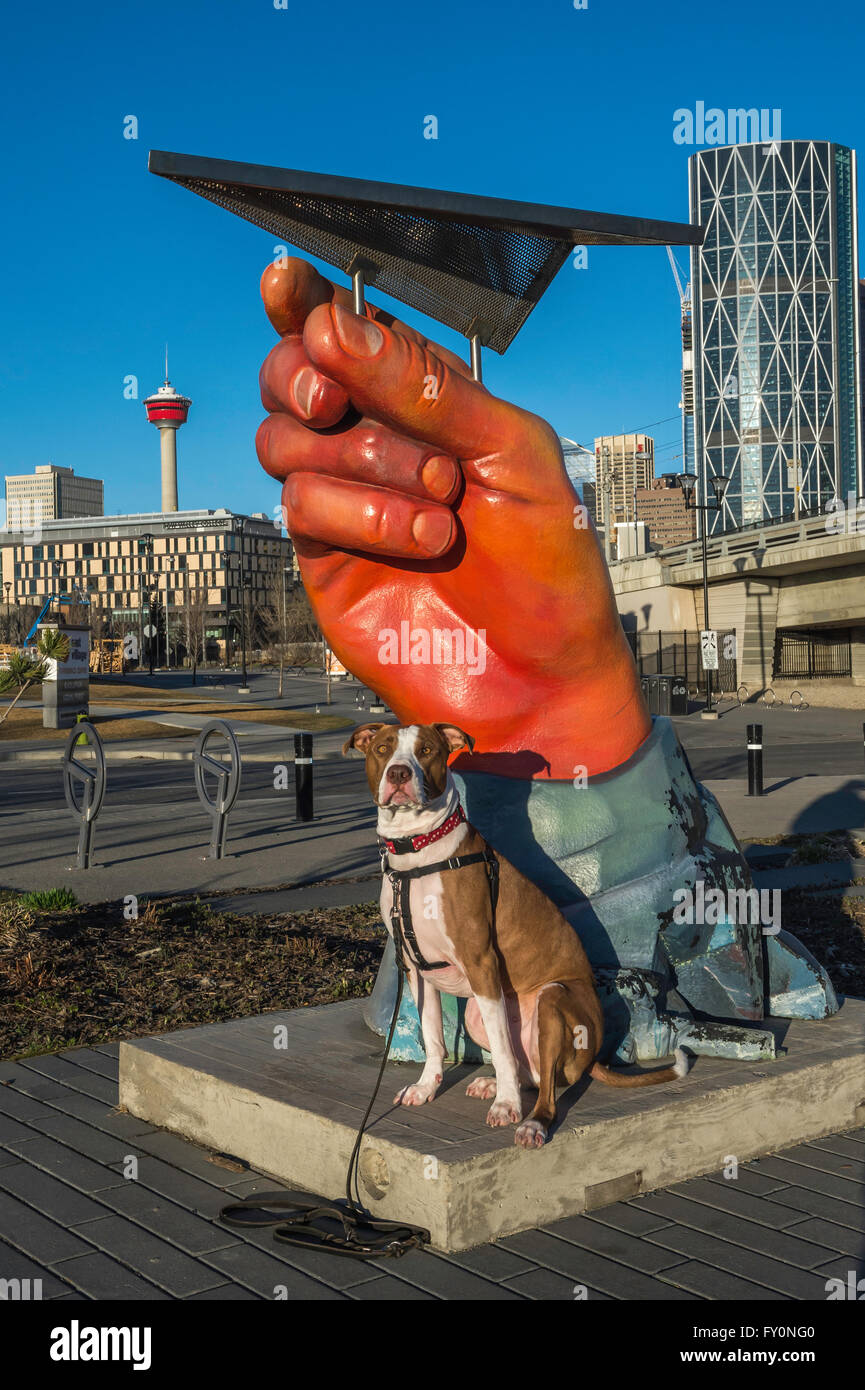Pit-bull chien croix en face de la sculpture, l'East Village, Calgary, Alberta, Canada Banque D'Images