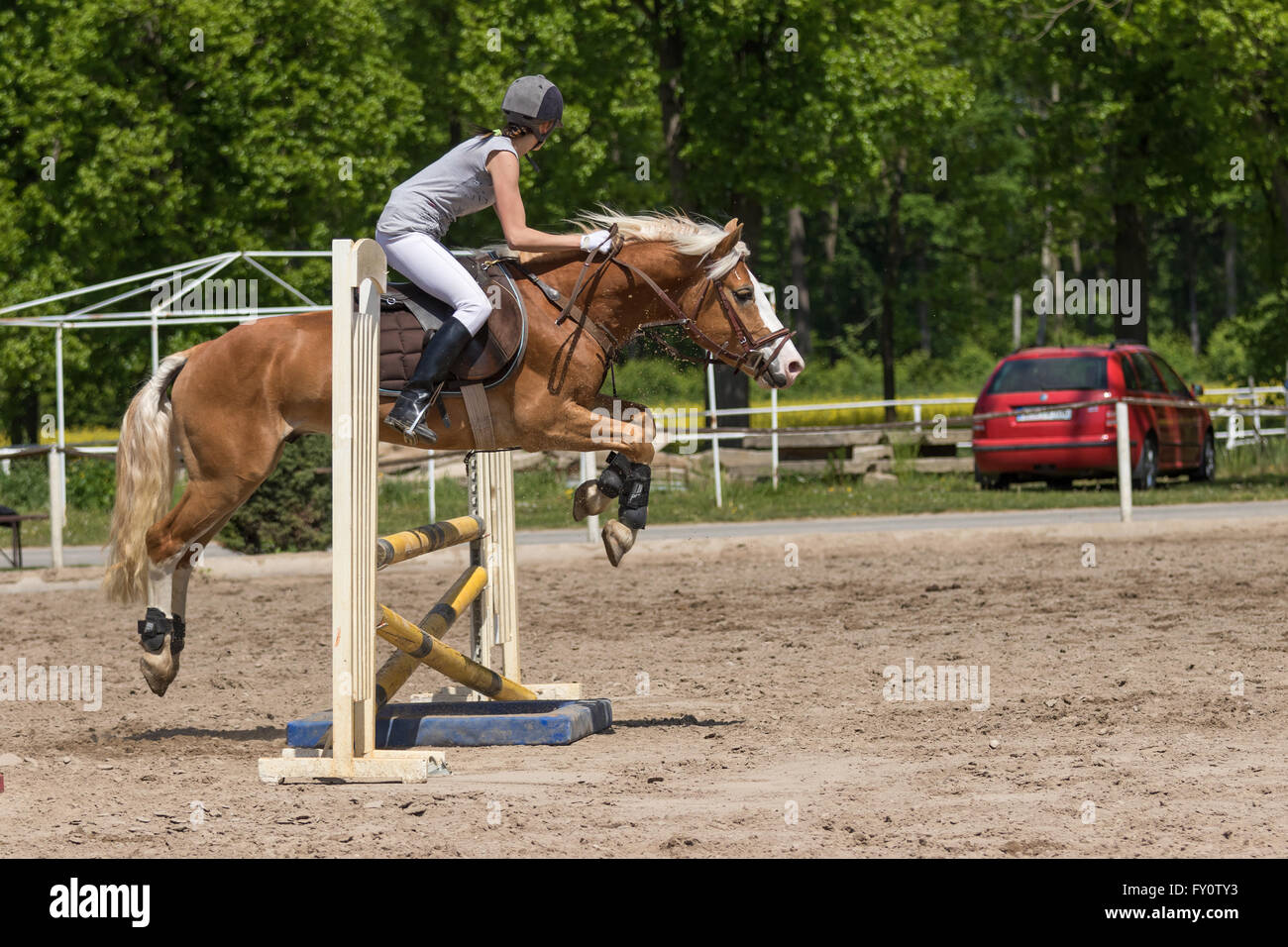 Cavalière de compétition équestre de saut Banque D'Images