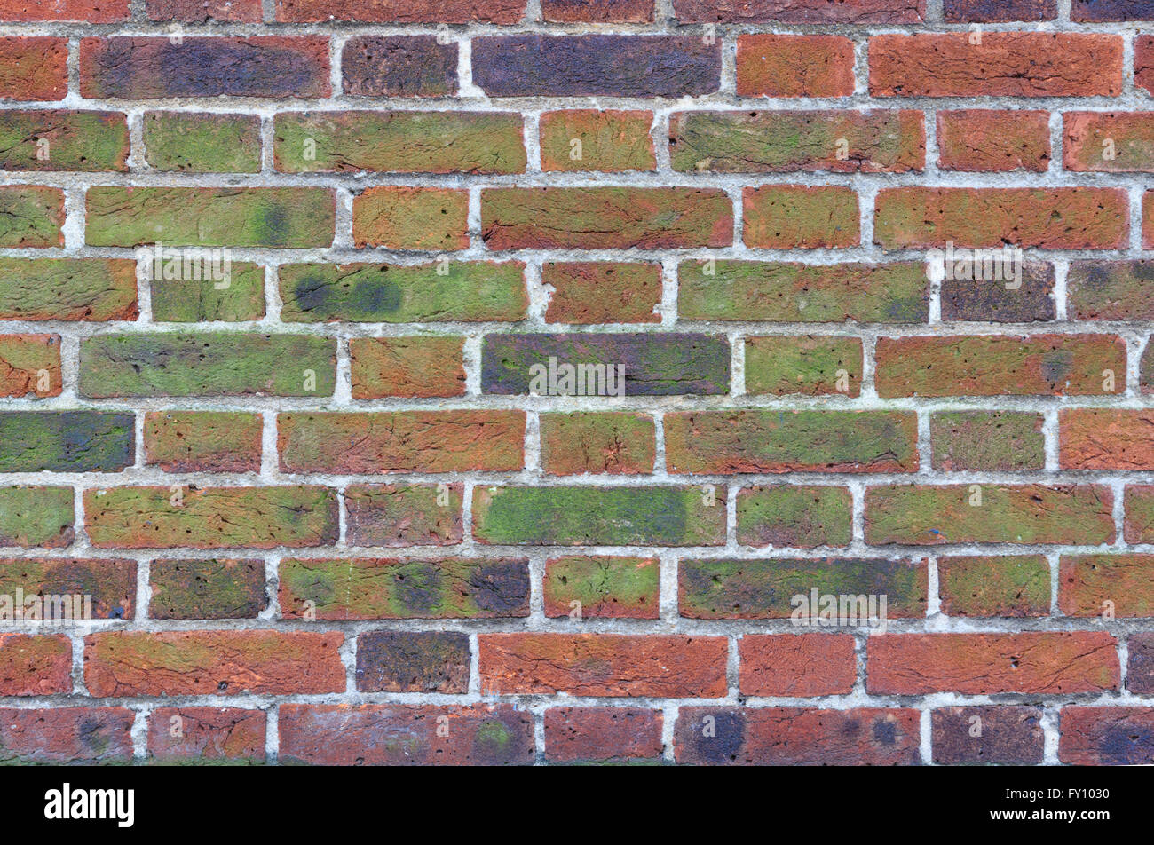 La texture de mousse et de taches noires sur le vieux mur de brique rouge Banque D'Images