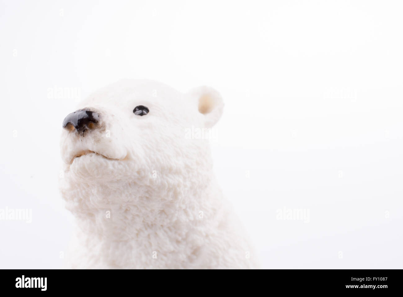 Modèle d'ours polaire blanc Banque D'Images