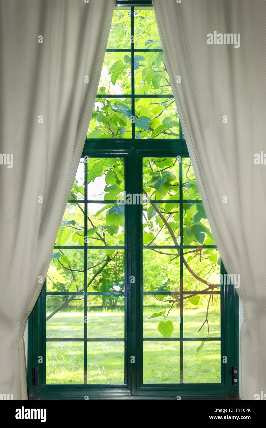 Jardin à travers la fenêtre avec des rideaux Banque D'Images
