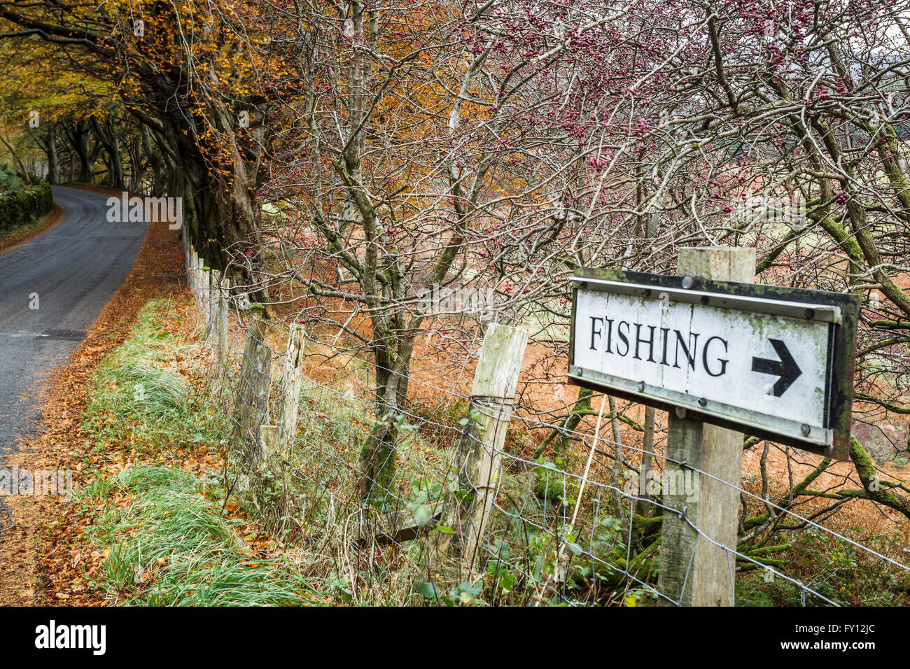 Dans le signe de la pêche Whinlatter Forest, Lake District, Cumbria UK Banque D'Images