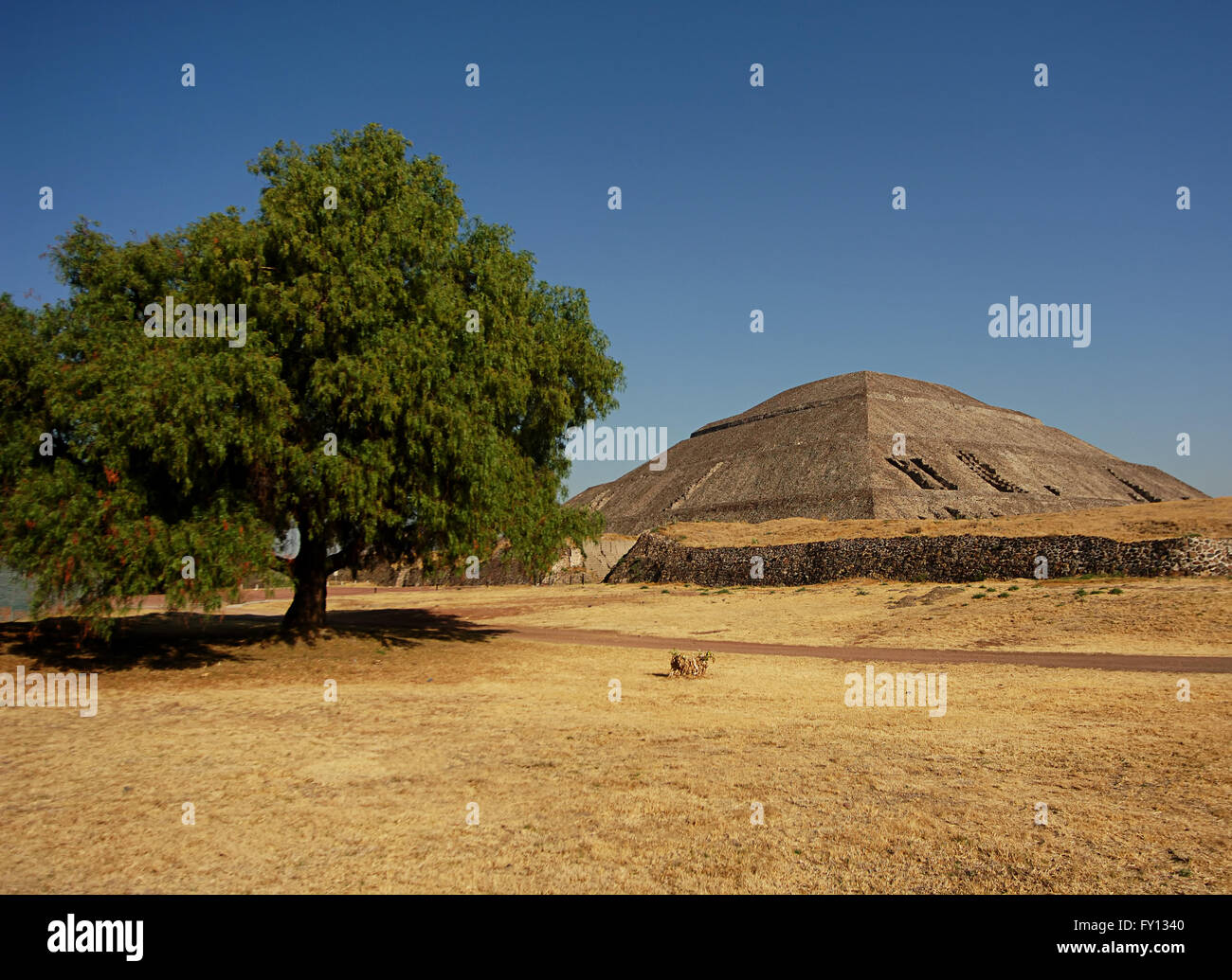 Pyramide du soleil et d'arbres Banque D'Images