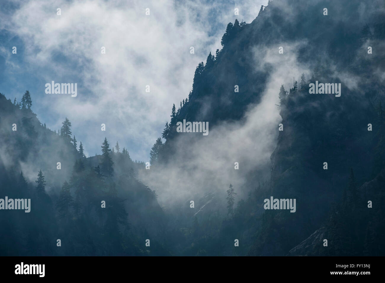 Vue sur le mont Seymour par temps brumeux, British Columbia, Canada Banque D'Images