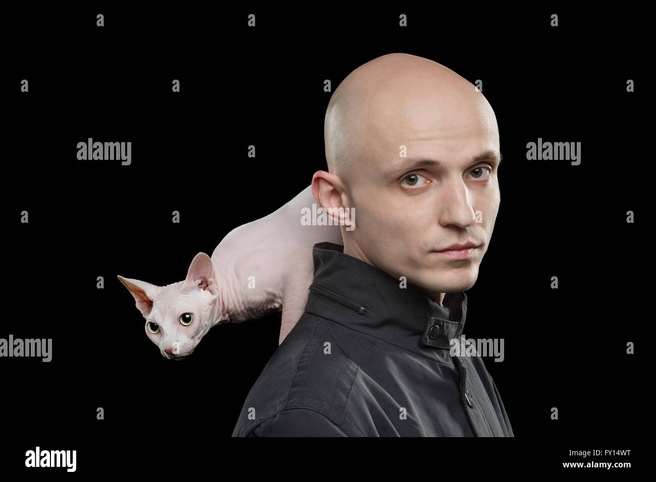Portrait d'homme chauve portant sur l'épaule de chat sans poils Sphynx sur fond noir Banque D'Images