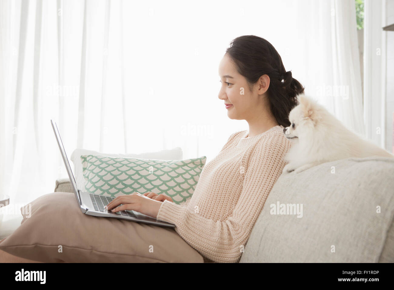 Vue de côté de jeune femme à l'aide d'ordinateur portable avec son chiot Banque D'Images