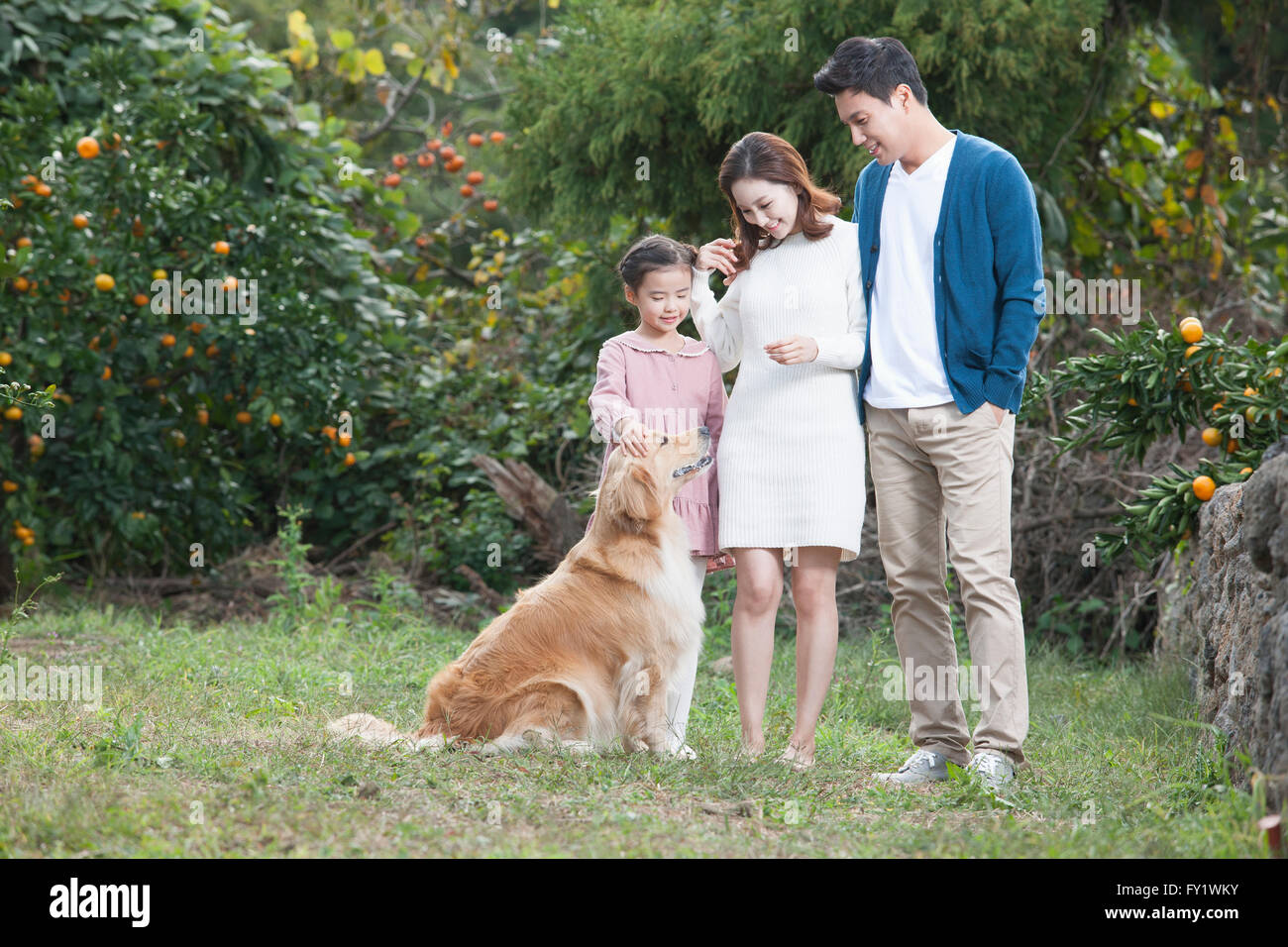 Famille avec un chien de s'amuser ensemble au chantier près de la mandarine rubrique représentant la vie rurale Banque D'Images