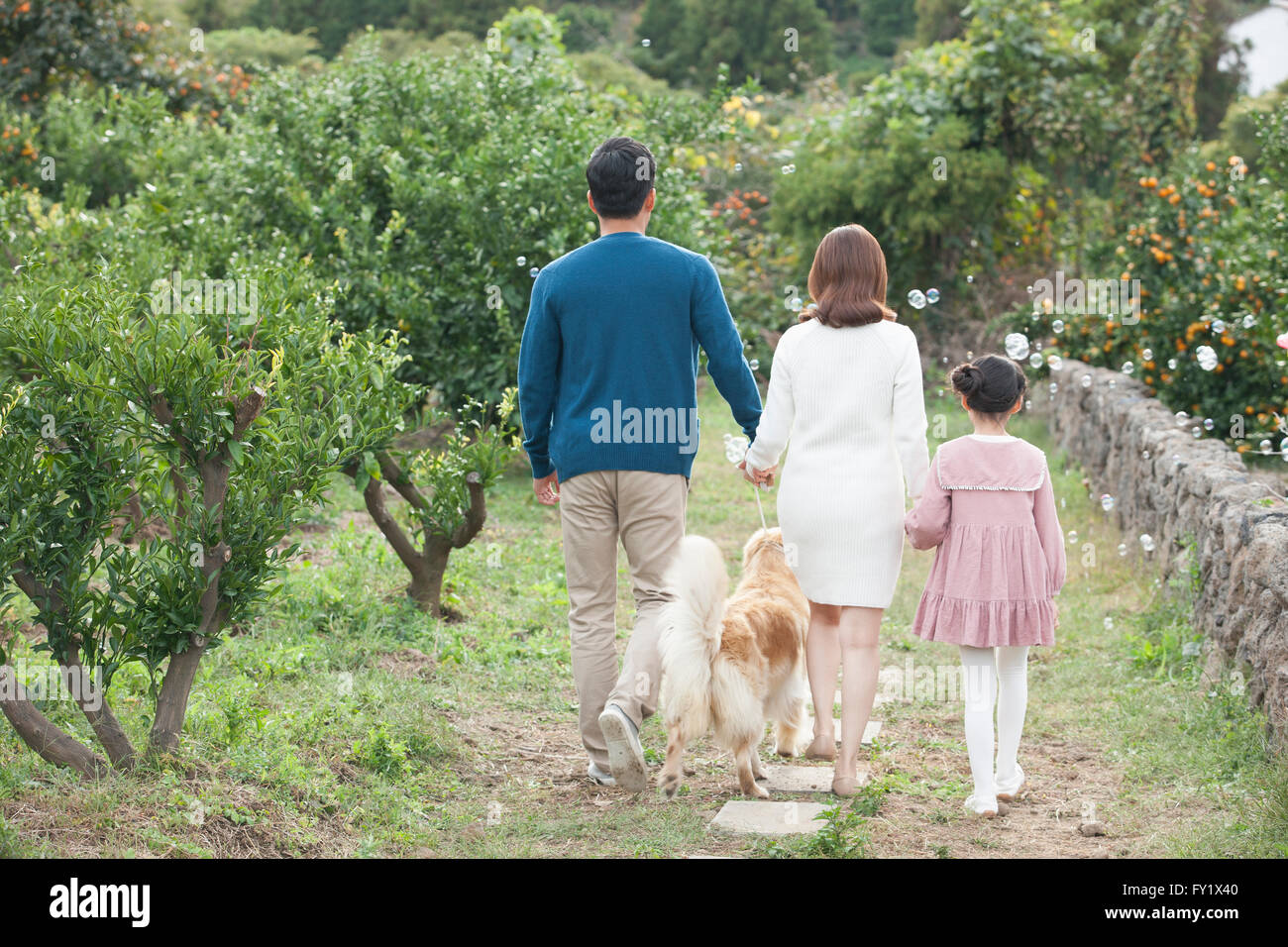 Retour apparition d'une famille avec un chien marcher sur le chantier près de domaine mandarine Banque D'Images