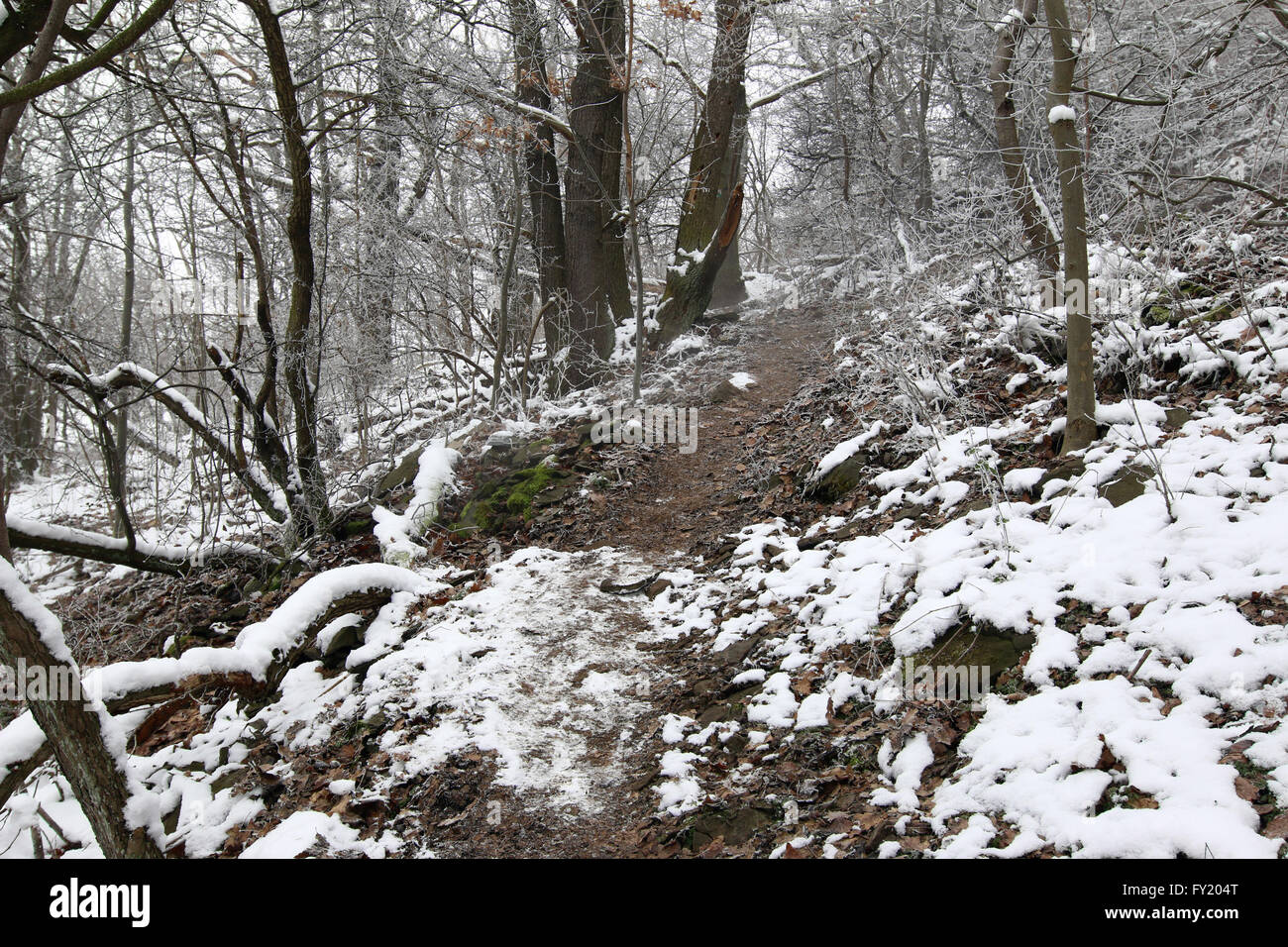Borec - colline Hill dans le Centre tchèque Montagnes - intérêt naturel Banque D'Images