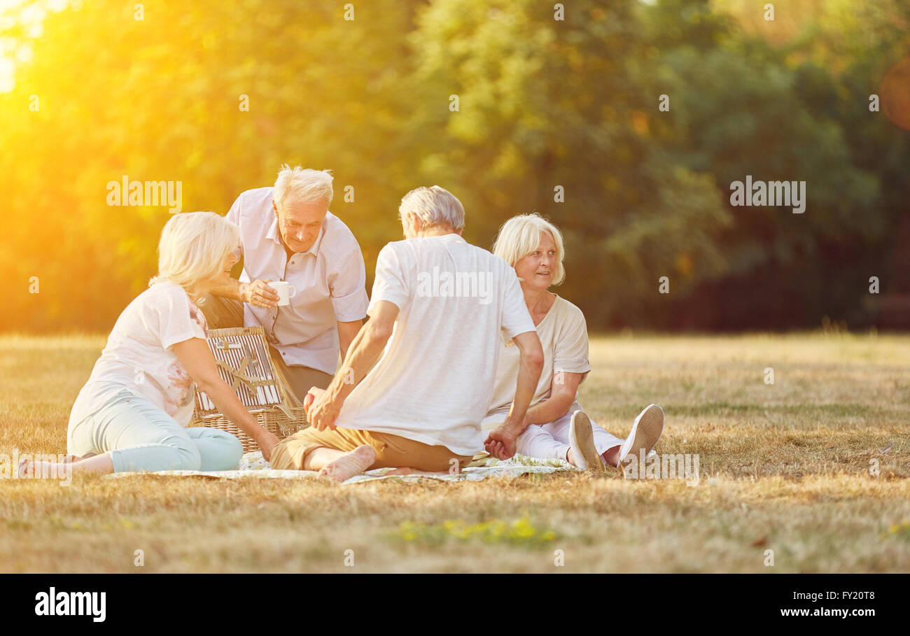 Heureux groupe d'aînés faire un pique-nique dans le parc en été Banque D'Images