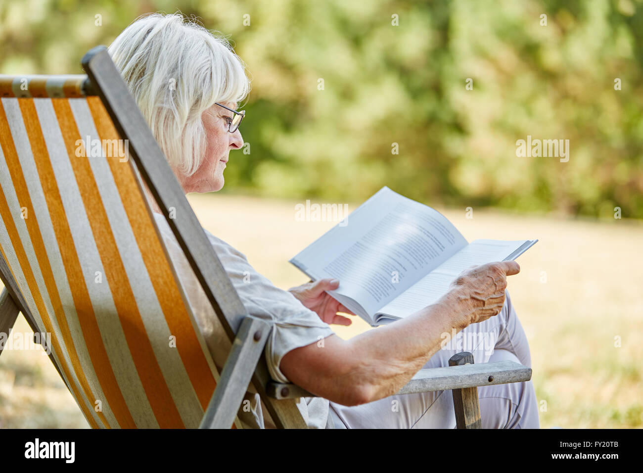 Pensionné âgé de lire un livre en été dans la nature Banque D'Images