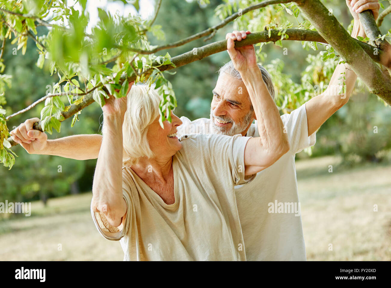 Couple et flirter sous un arbre dans la nature en été Banque D'Images