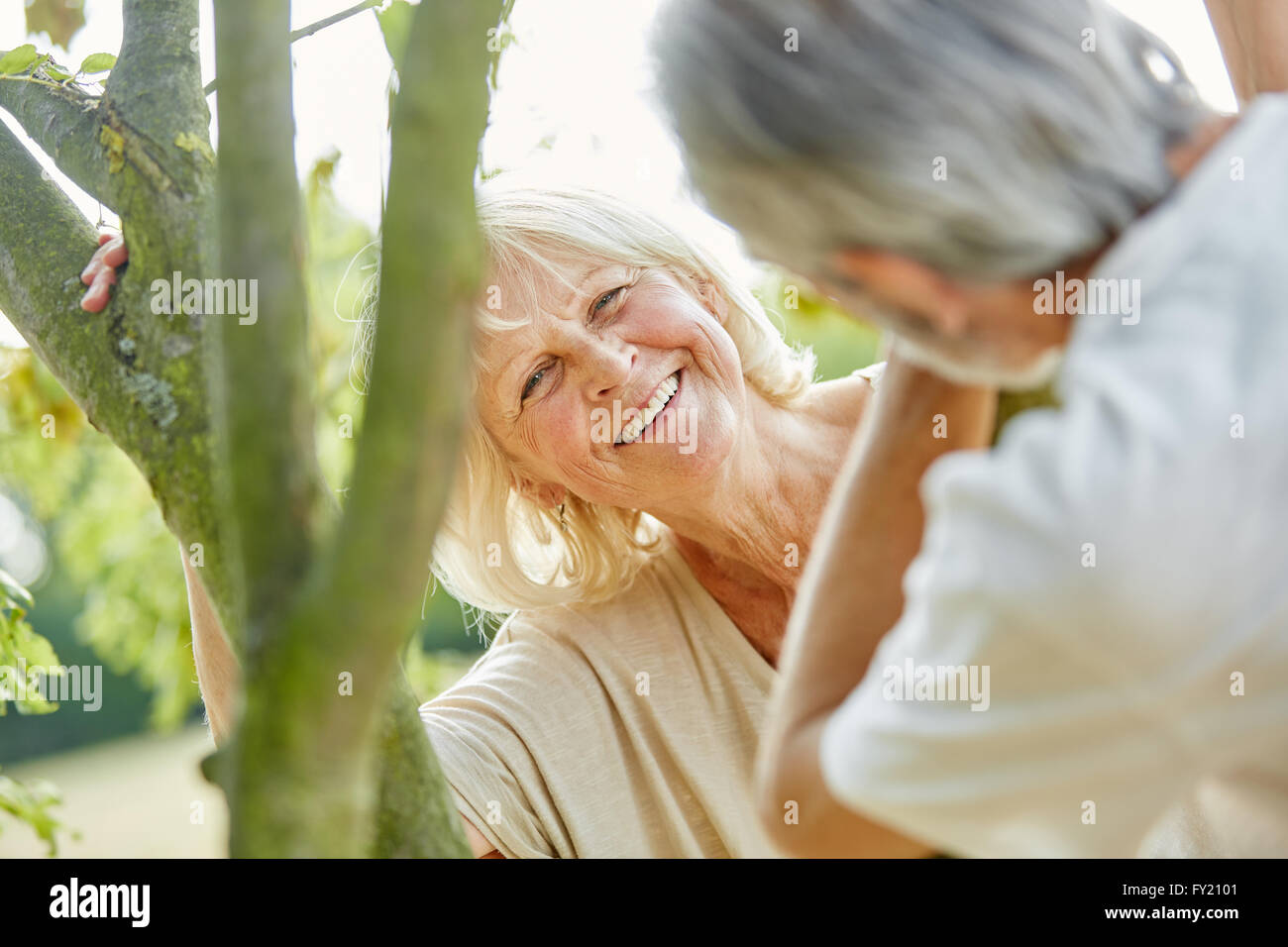 Happy senior couple et flirter en été dans la nature Banque D'Images
