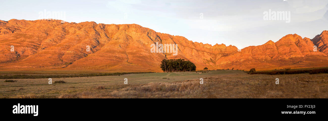 Les montagnes magnifiques border Elandsberg ferme, Bo Herman, Afrique du Sud. Banque D'Images