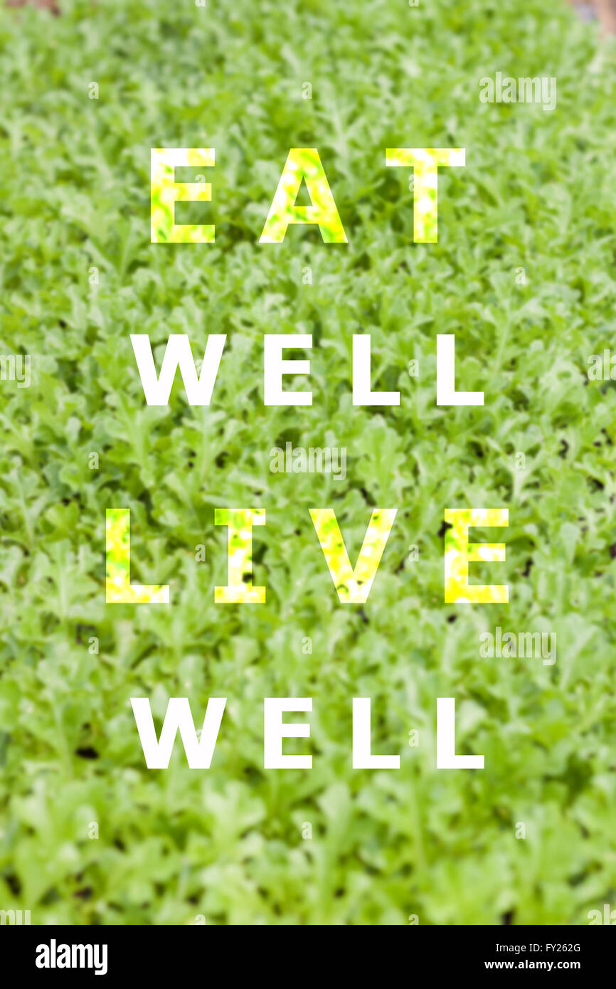 Bien manger bien vivre citation inspirante sur fond de légumes Banque D'Images