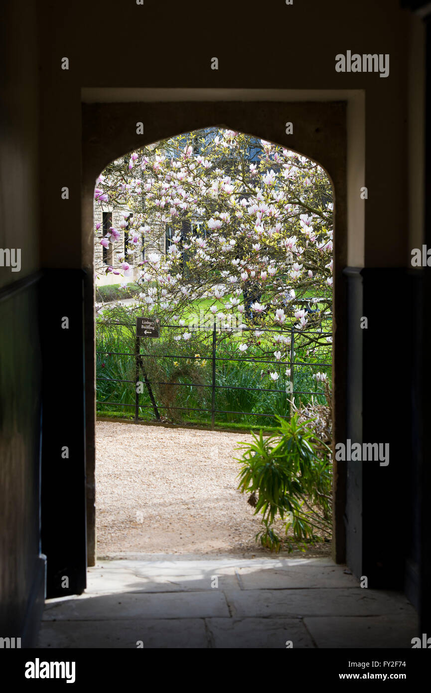 Worcester College porte voûtée et magnolia au printemps. Oxford, UK Banque D'Images