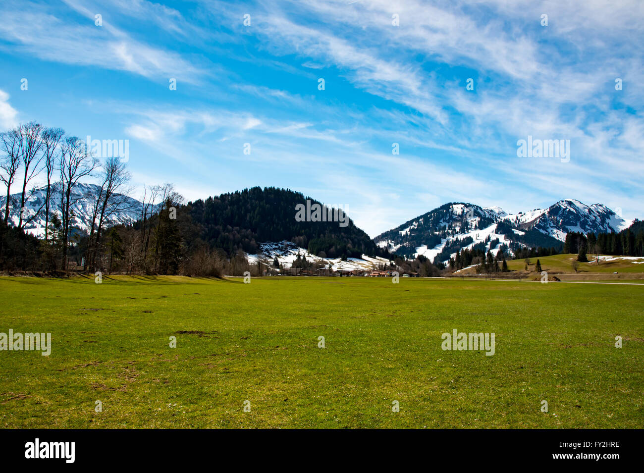 Mountain meadow et fantastique au printemps - Allemagne Banque D'Images