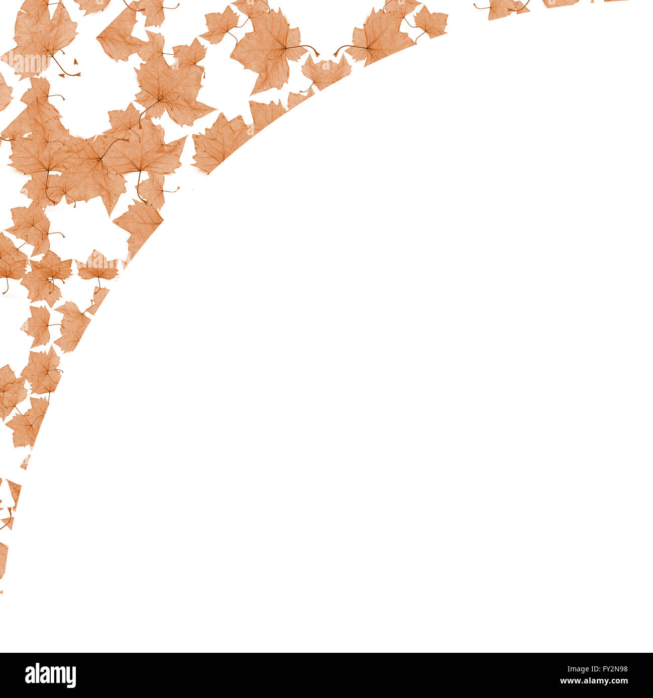 Fond blanc avec décor ronde floral pattern sans frontières collage conception de mosaïque dans les tons brun pâle Banque D'Images