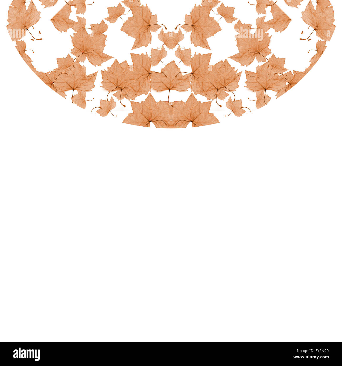 Fond blanc avec décor ronde floral pattern sans frontières collage conception de mosaïque dans les tons brun pâle Banque D'Images