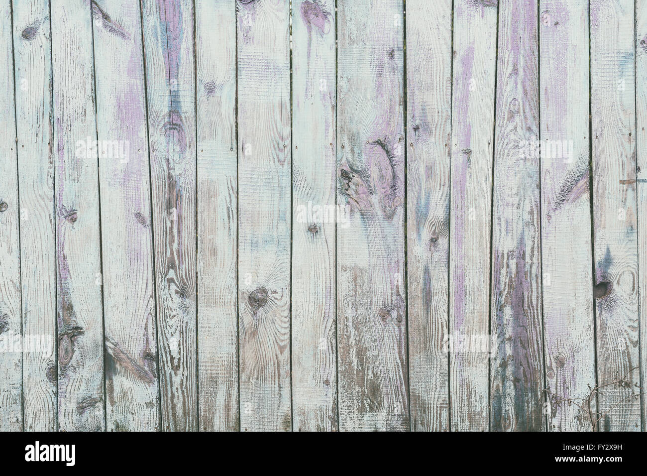 Vieux fond de bois gris. Photo de structure en bois. Banque D'Images