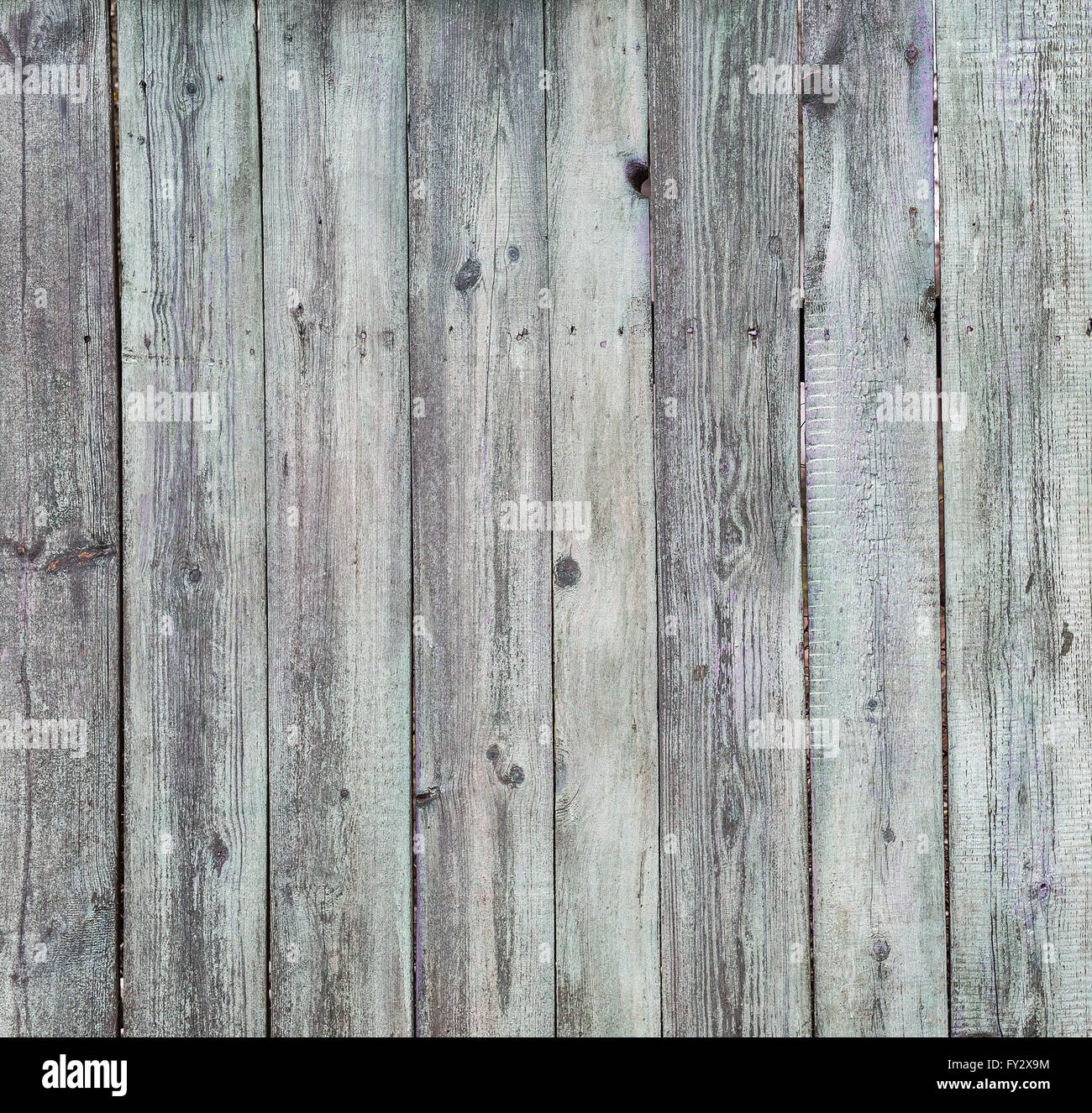 Vieux fond de bois gris. Photo de structure en bois. Banque D'Images