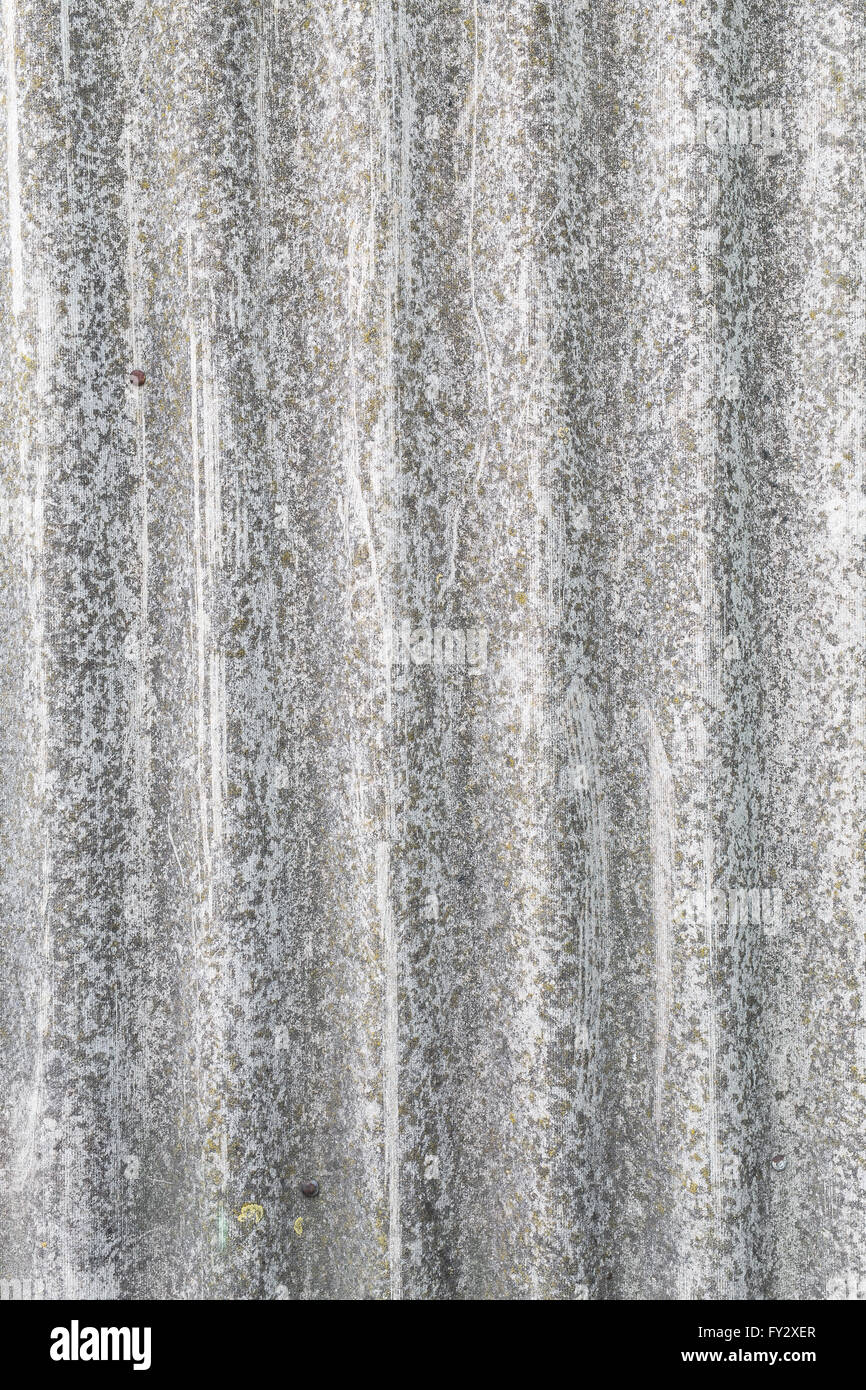 Vieux fond de bois gris. Photo de structure en bois. Banque D'Images