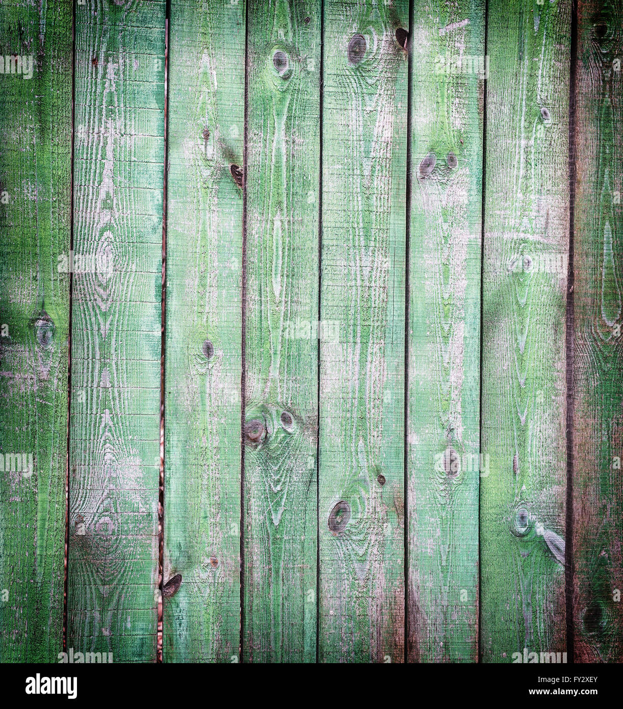 Vieux fond de bois vert. Photo de structure en bois. Banque D'Images