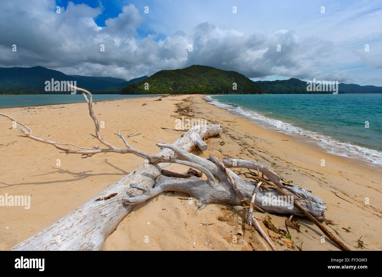 Abel Tasman N.P.ile sud Nouvelle Zelande Banque D'Images