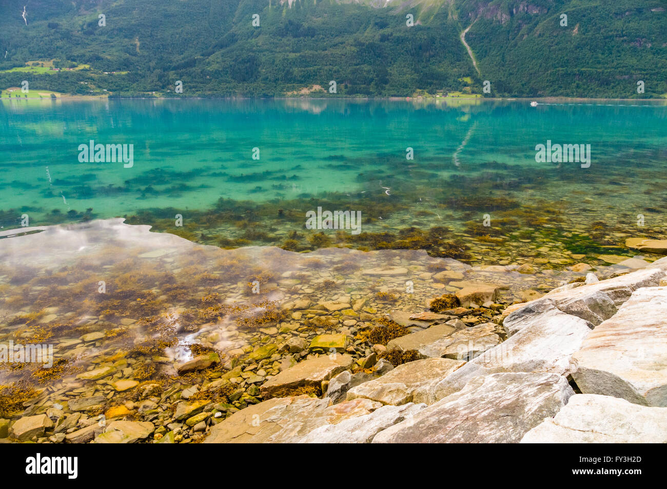 Norwegian fjord pierreux et colorée de la côte de l'eau transparent Banque D'Images