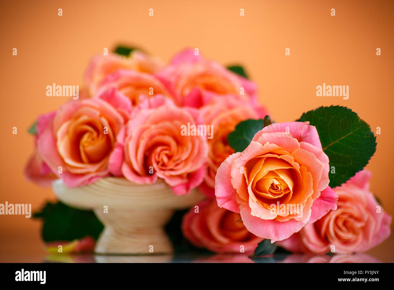 Bouquet de roses roses sur fond orange Banque D'Images