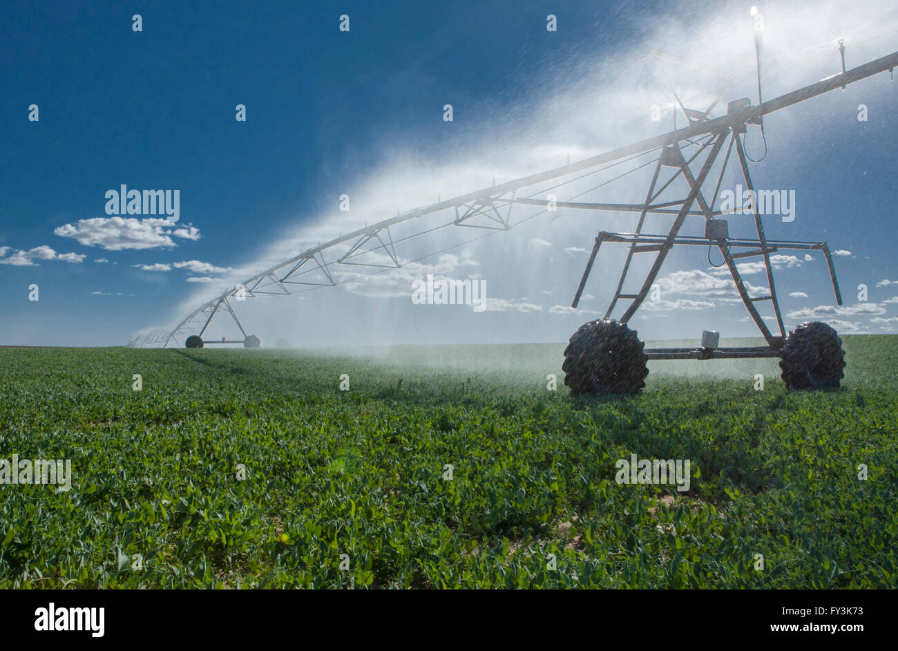 Système d'irrigation à pivot central avec têtes à travailler sous les rayons solaires, Badajoz, Espagne Banque D'Images