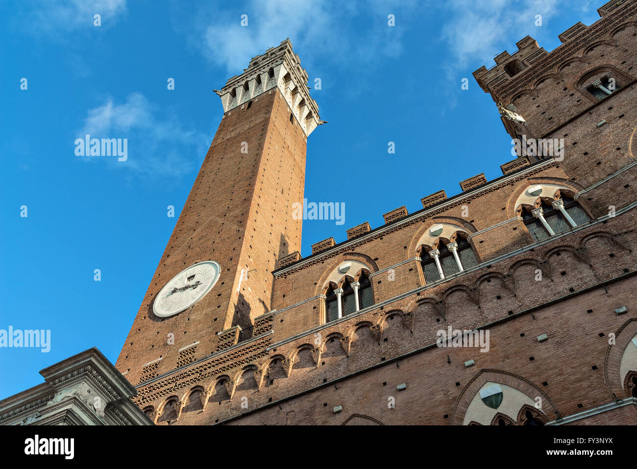 Tour du Mangia et Palazzo Pubblico de Sienne Banque D'Images