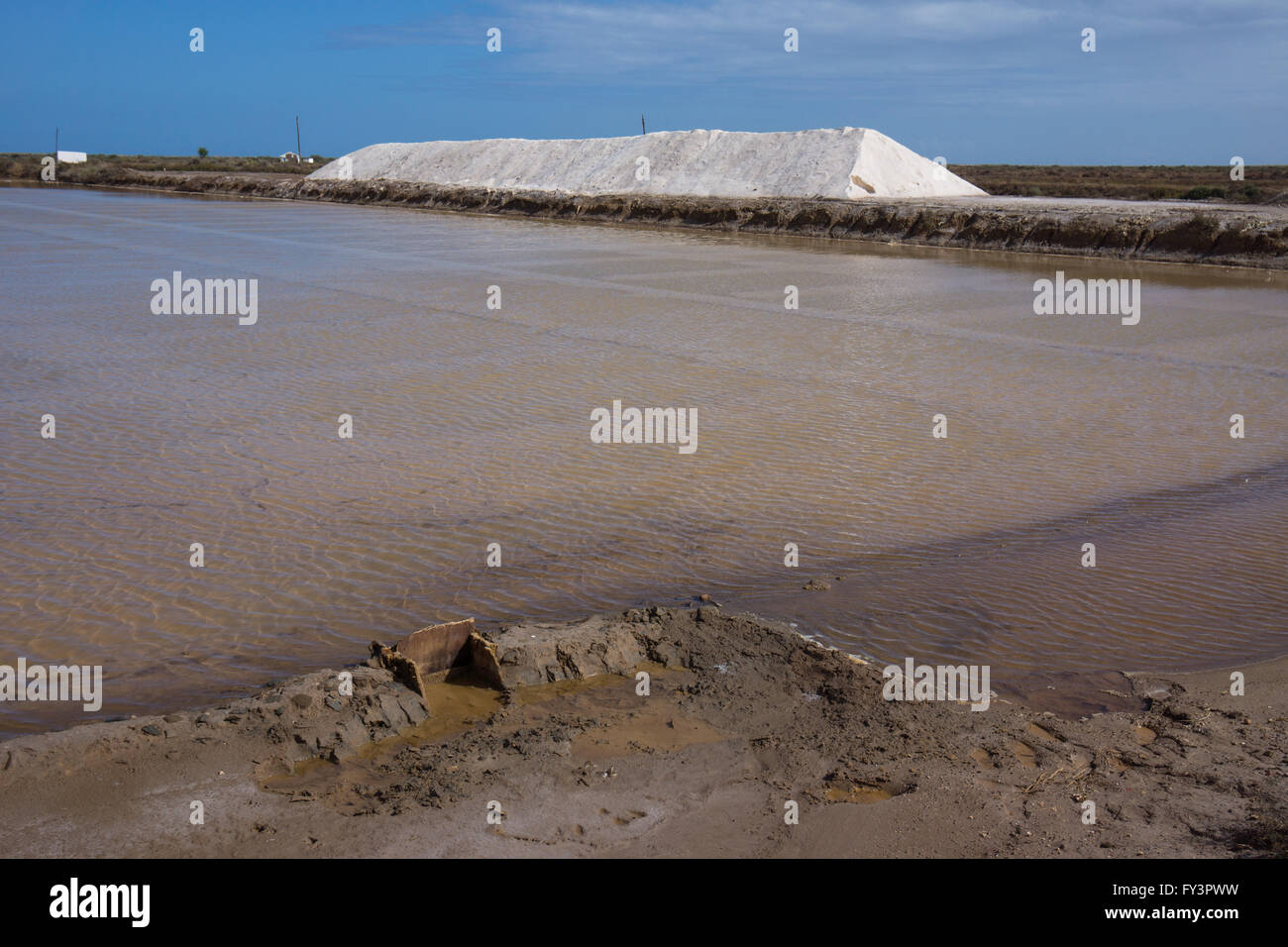 Collection de sel dans les marais salants près de Tavira, Portugal Banque D'Images