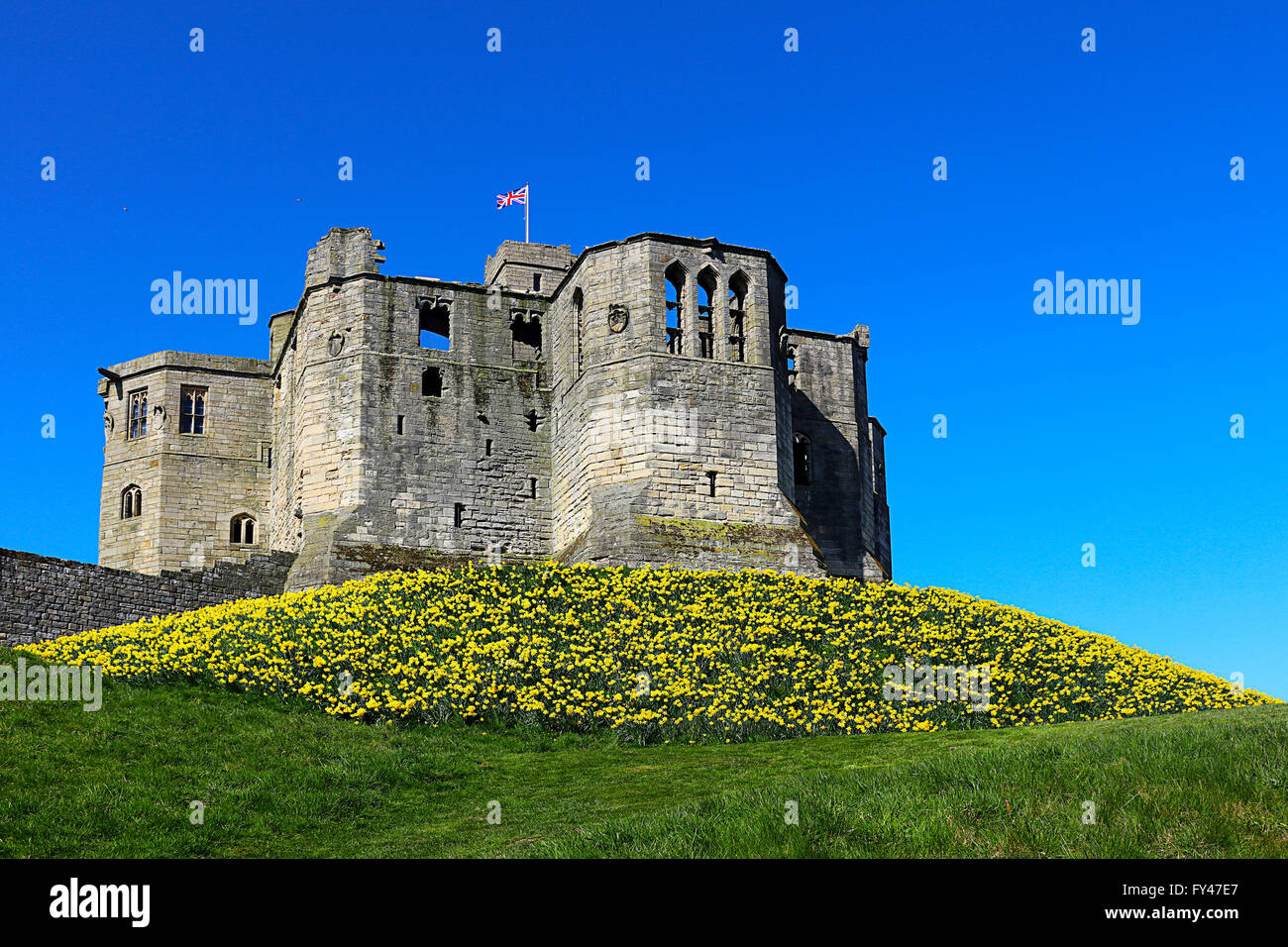 Joyeux Anniversaire Ma Am Sur Votre Anniversaire Peut Vous Avez De Nombreuses Saisons Printemps Comme Ceci Photo Stock Alamy Joyeux Anniversaire Ma Am Sur Votre Anniversaire Peut Vous Avez De Nombreuses Saisons Printemps Comme Ceci Photo Stock Alamy
