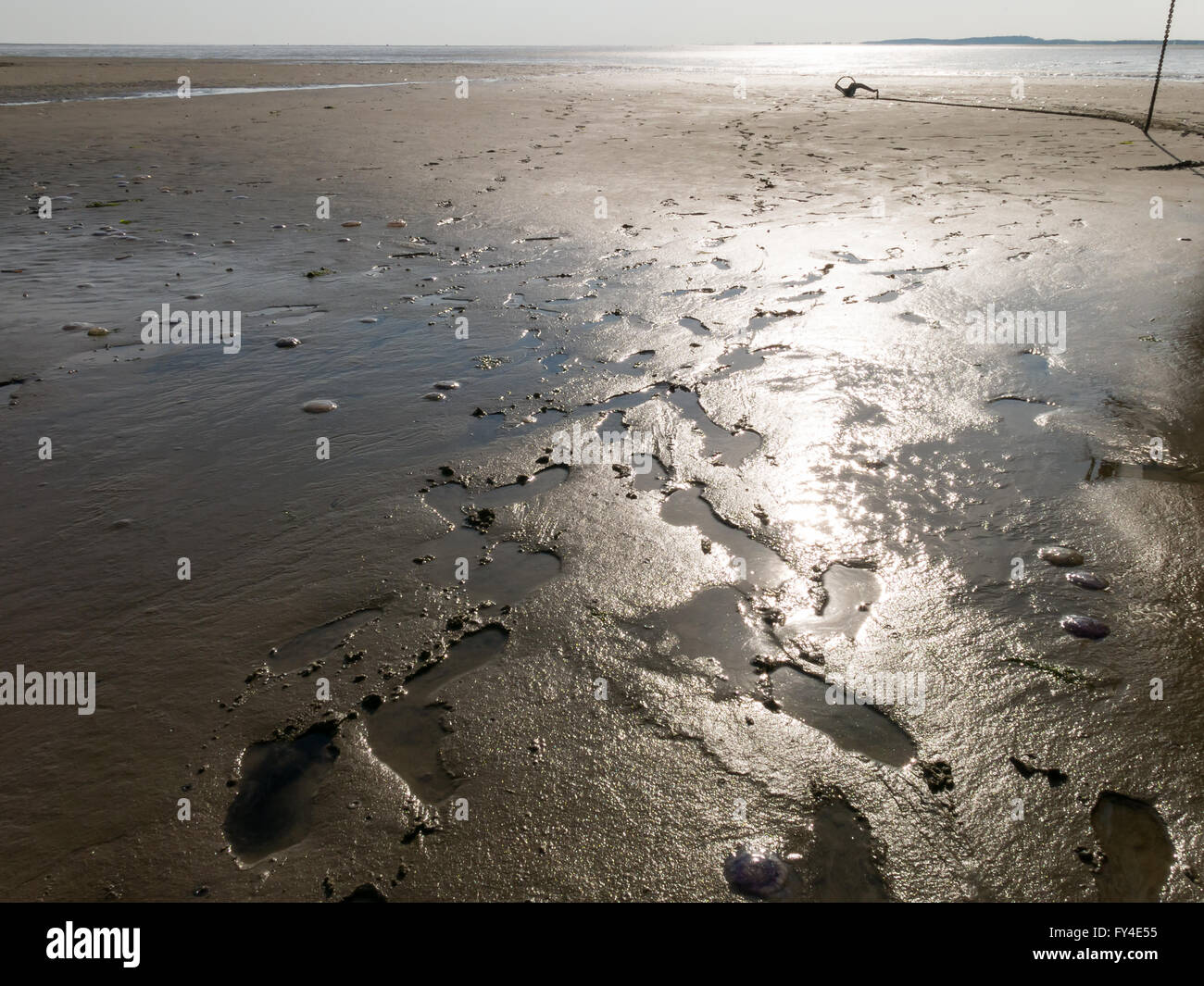 Reflet de soleil et empreintes sur les vasières à marée basse sur les milieux humides de la mer de Wadden, Pays-Bas Banque D'Images