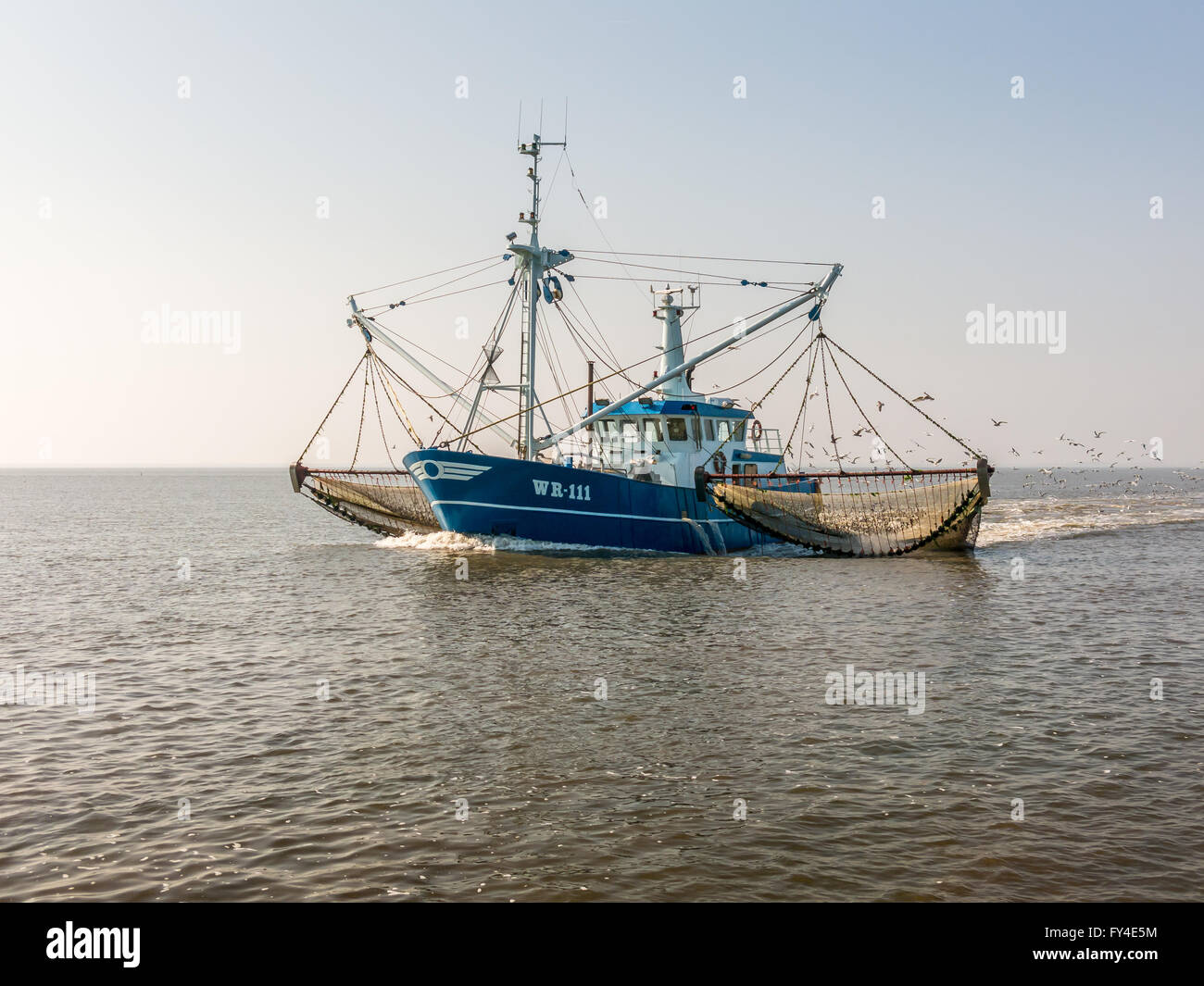 Crevettier la pêche en mer de Wadden aux Pays-Bas Banque D'Images