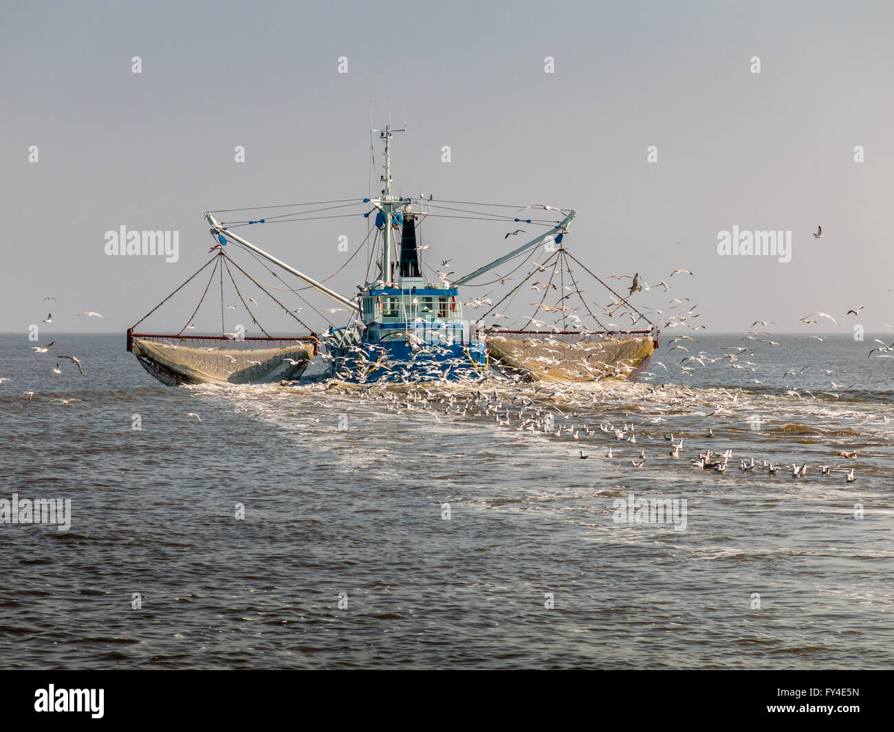 Crevettier la pêche en mer de Wadden aux Pays-Bas Banque D'Images