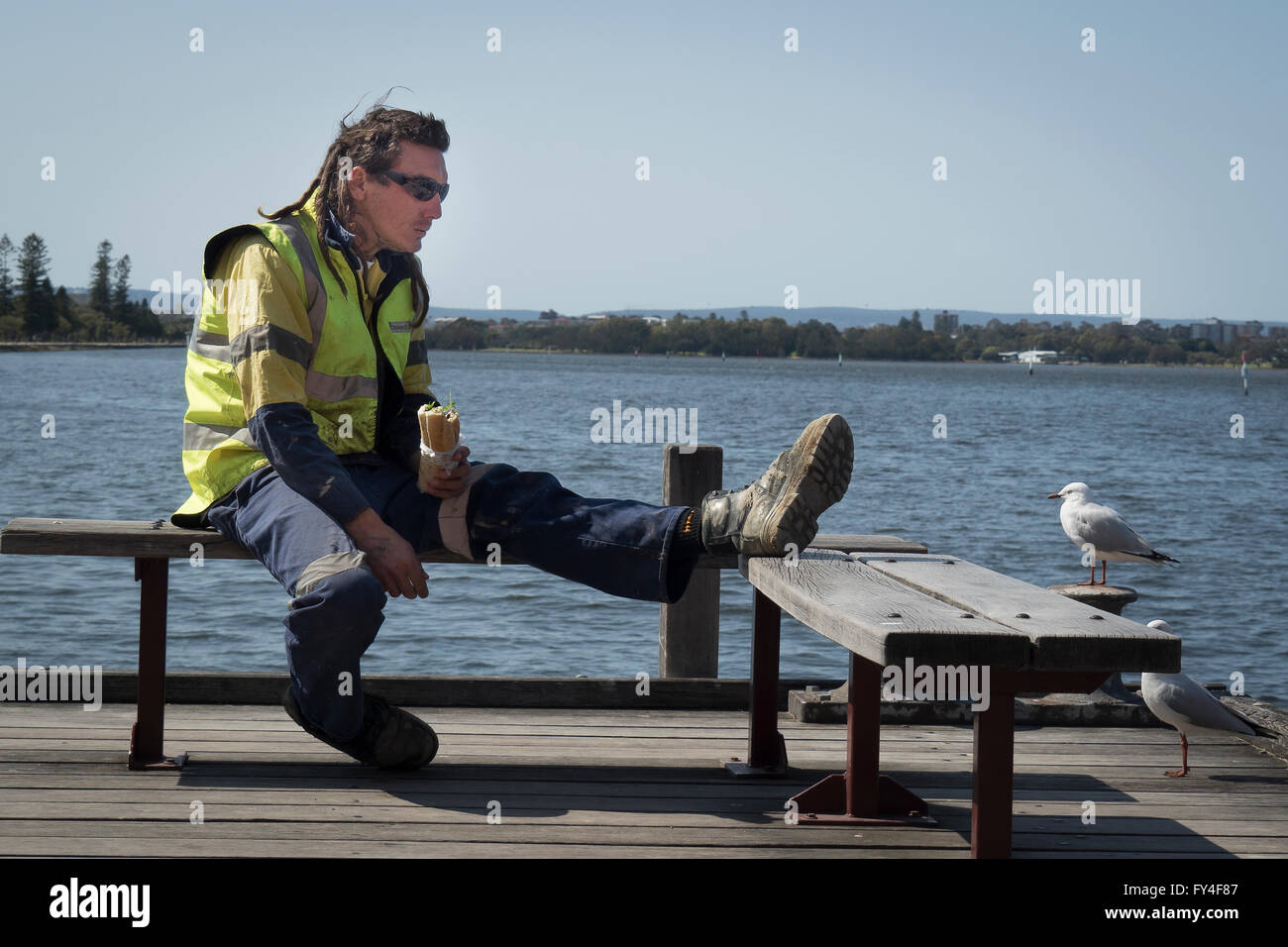 Workman avec Sandwich et Goéland, la ville de Perth, Australie occidentale Banque D'Images