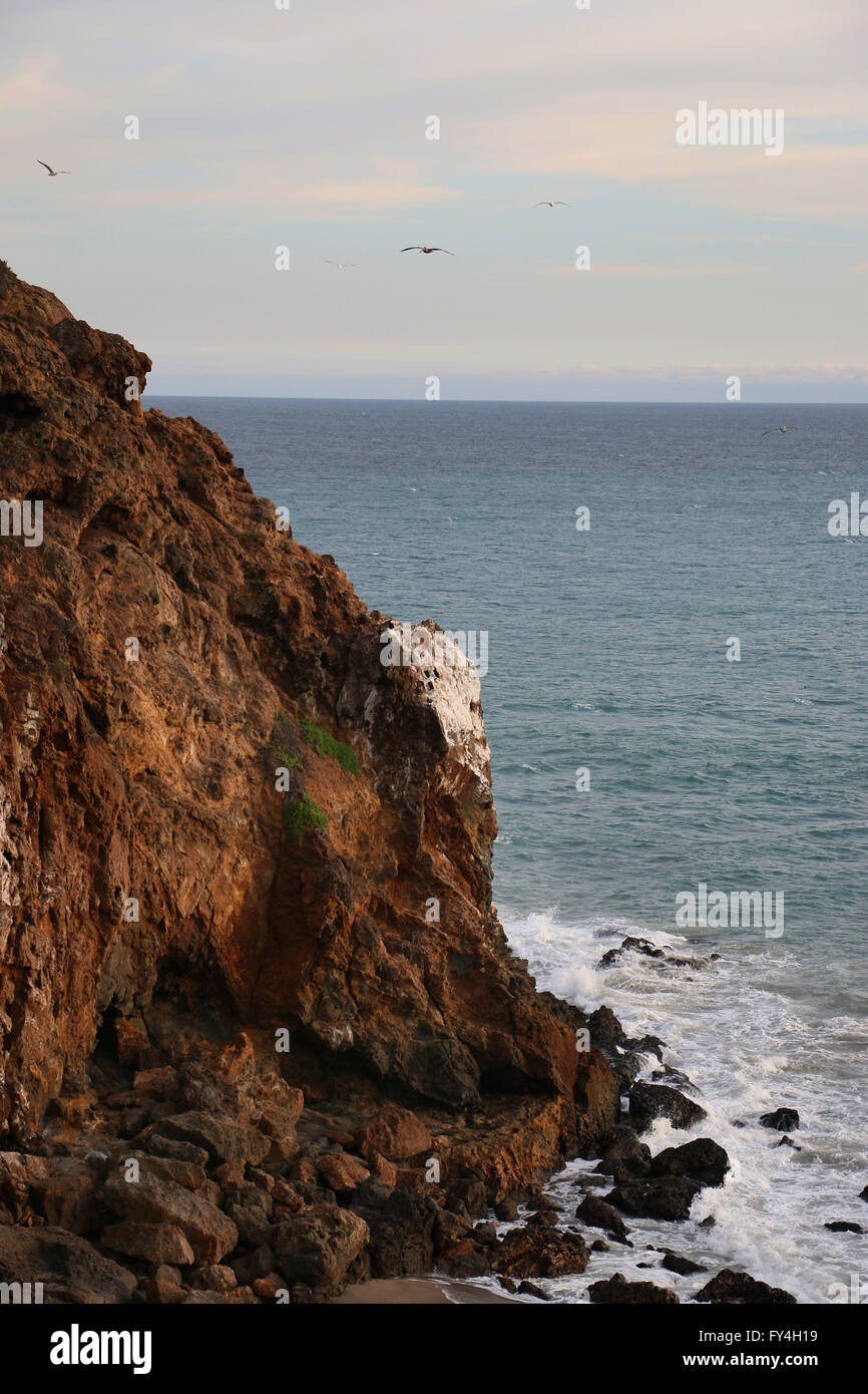 Rocky beach Point Dume falaises State Park en Californie Banque D'Images