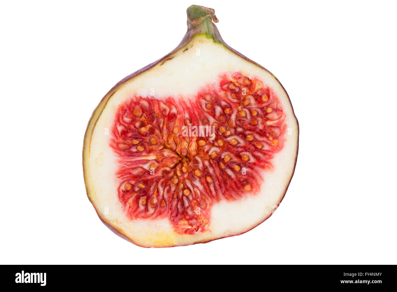 Une moitié de figue Banque D'Images