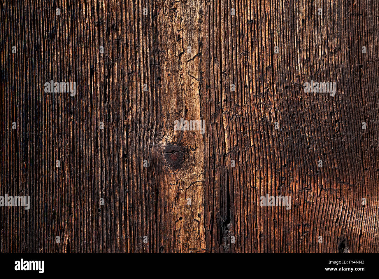Vintage background.old wood texture arbre pourri. Banque D'Images