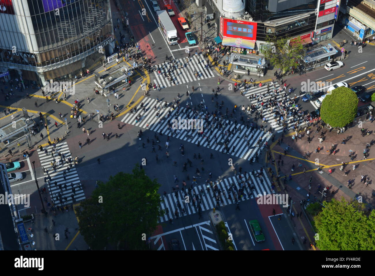 Croisement de Shibuya, Tokyo, Japon Banque D'Images