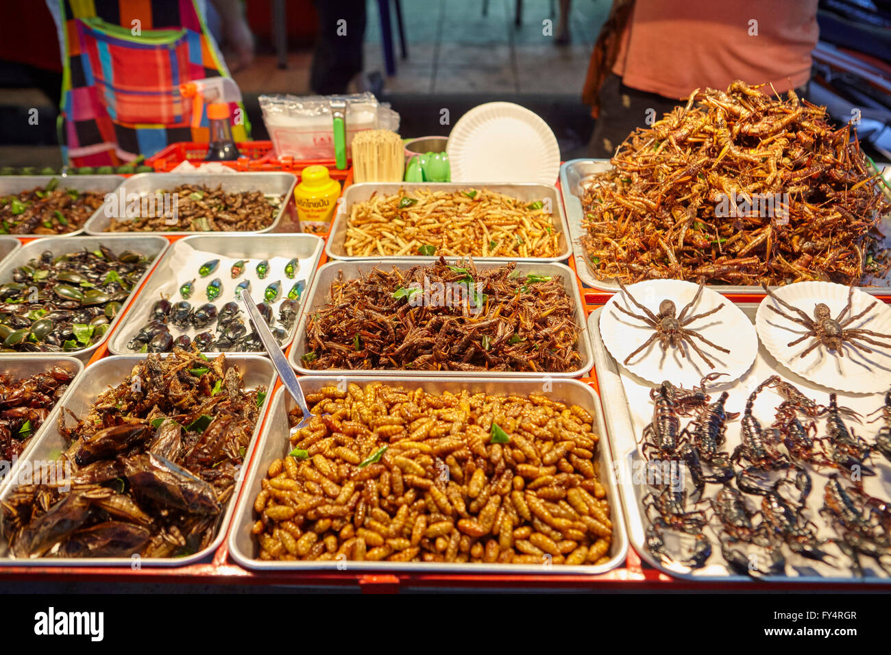 Les ventes d'insectes frits à Khao San Road, Bangkok, Thaïlande Banque D'Images