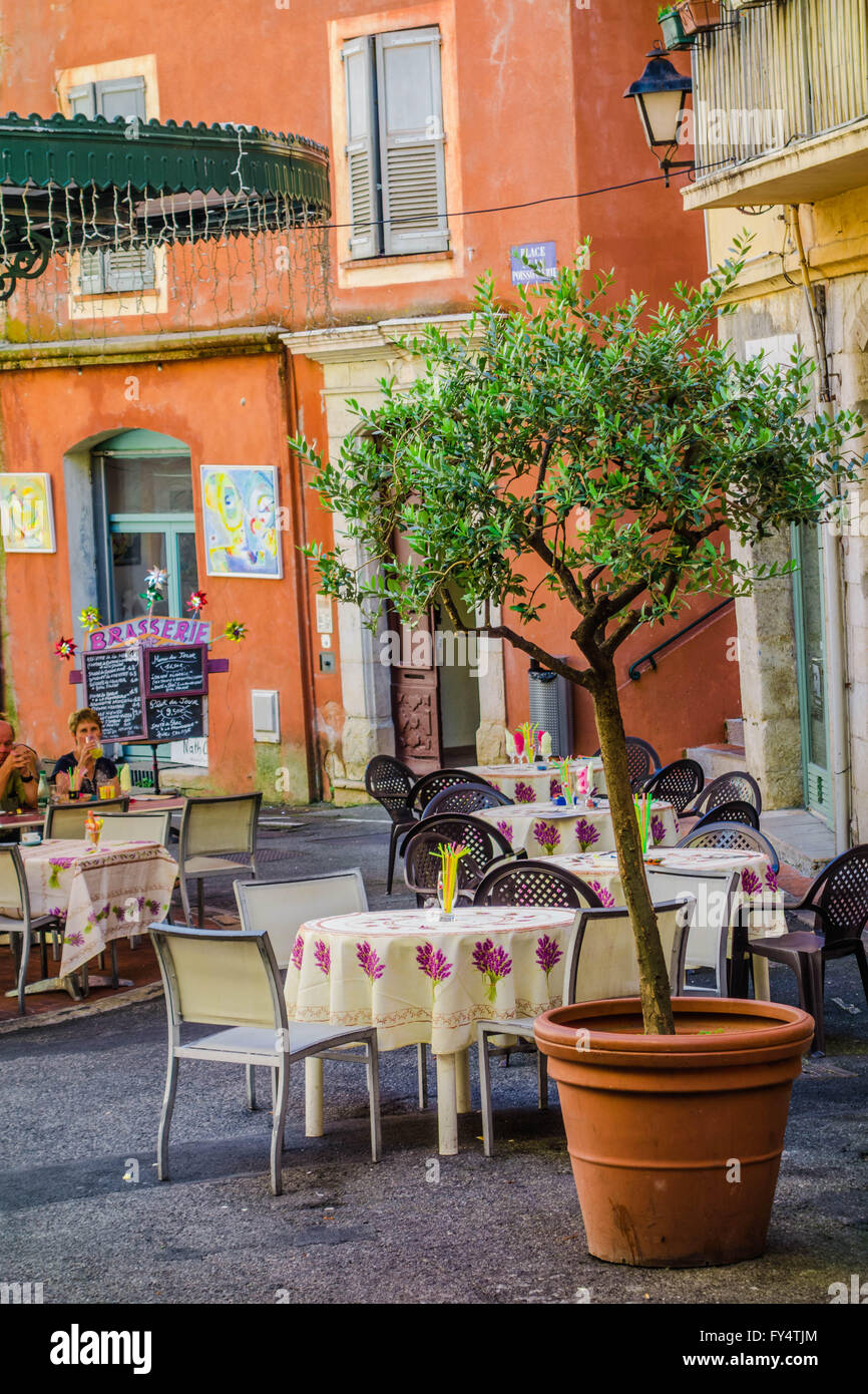 France, Grasse, café à la vieille ville. Olivier en pot. Banque D'Images