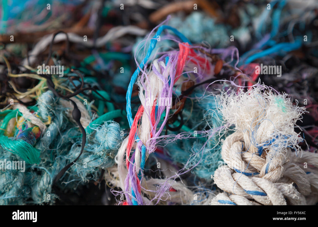 La corde tordue de couleur, ligne de pêche, plastique, ficelle et algues trouvés sur Penllech Traeth Plage de la marque de la marée haute Banque D'Images