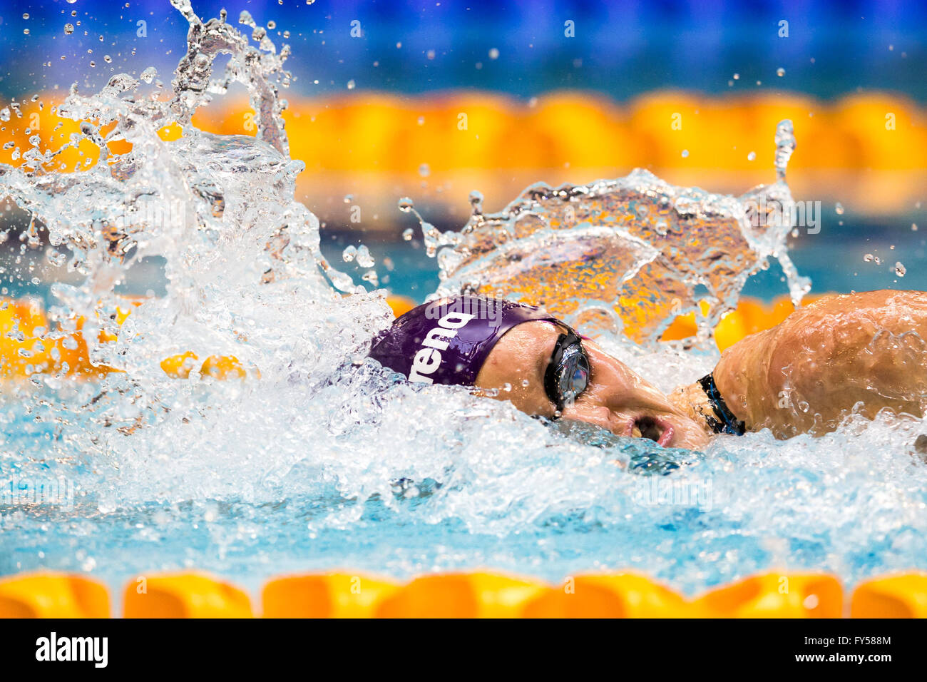 GLASGOW, Royaume-Uni : Avril 15, 2016, Fran Halsall participe à la Women's 100m nage libre aux championnats de natation britannique Banque D'Images