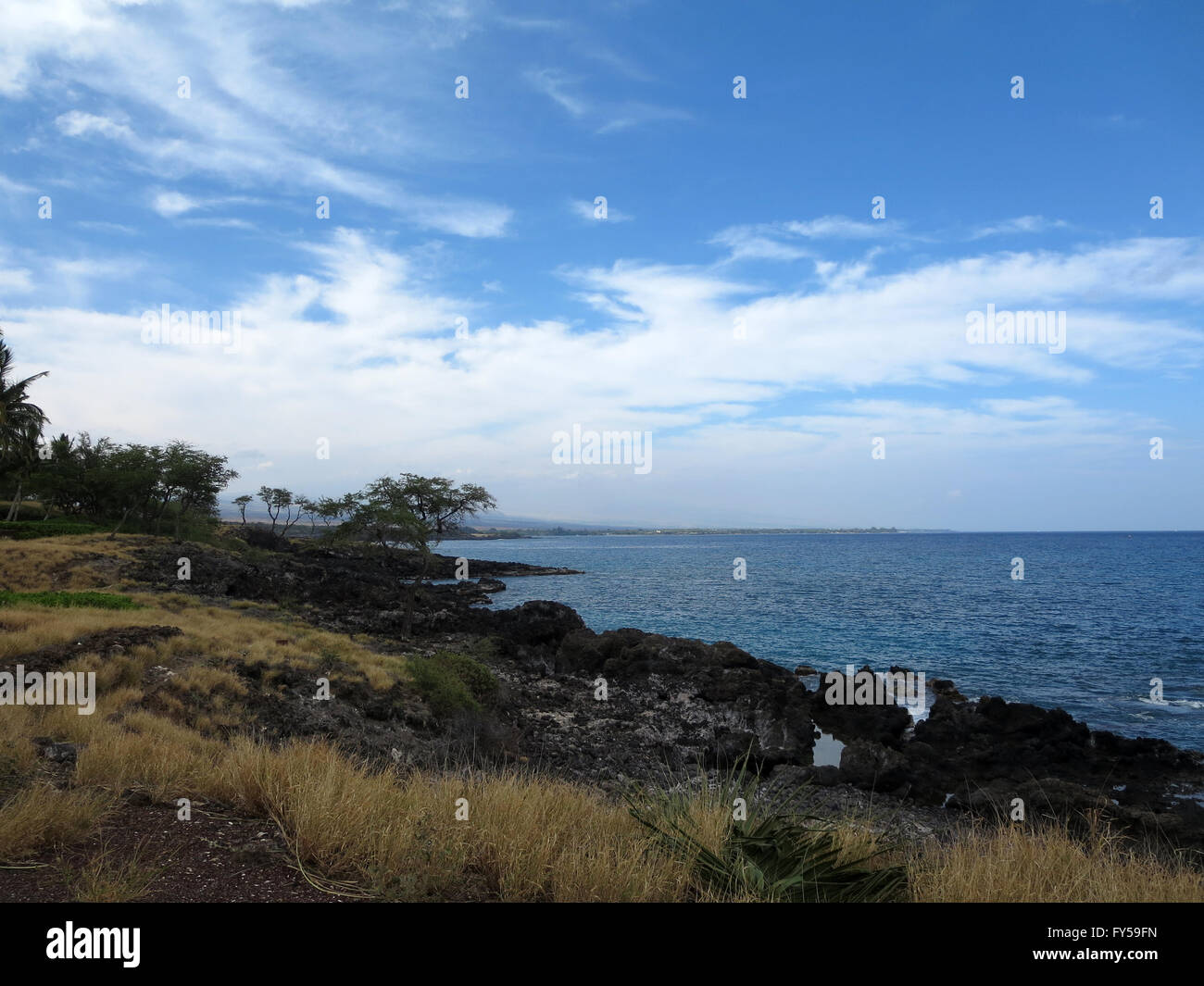 Point Kaunaoa avec pierres de lave, de l'herbe sèche, les arbres et le calme de l'eau de l'océan sur la côte Kohala robuste sur la Big Island, Hawaii sur une Banque D'Images