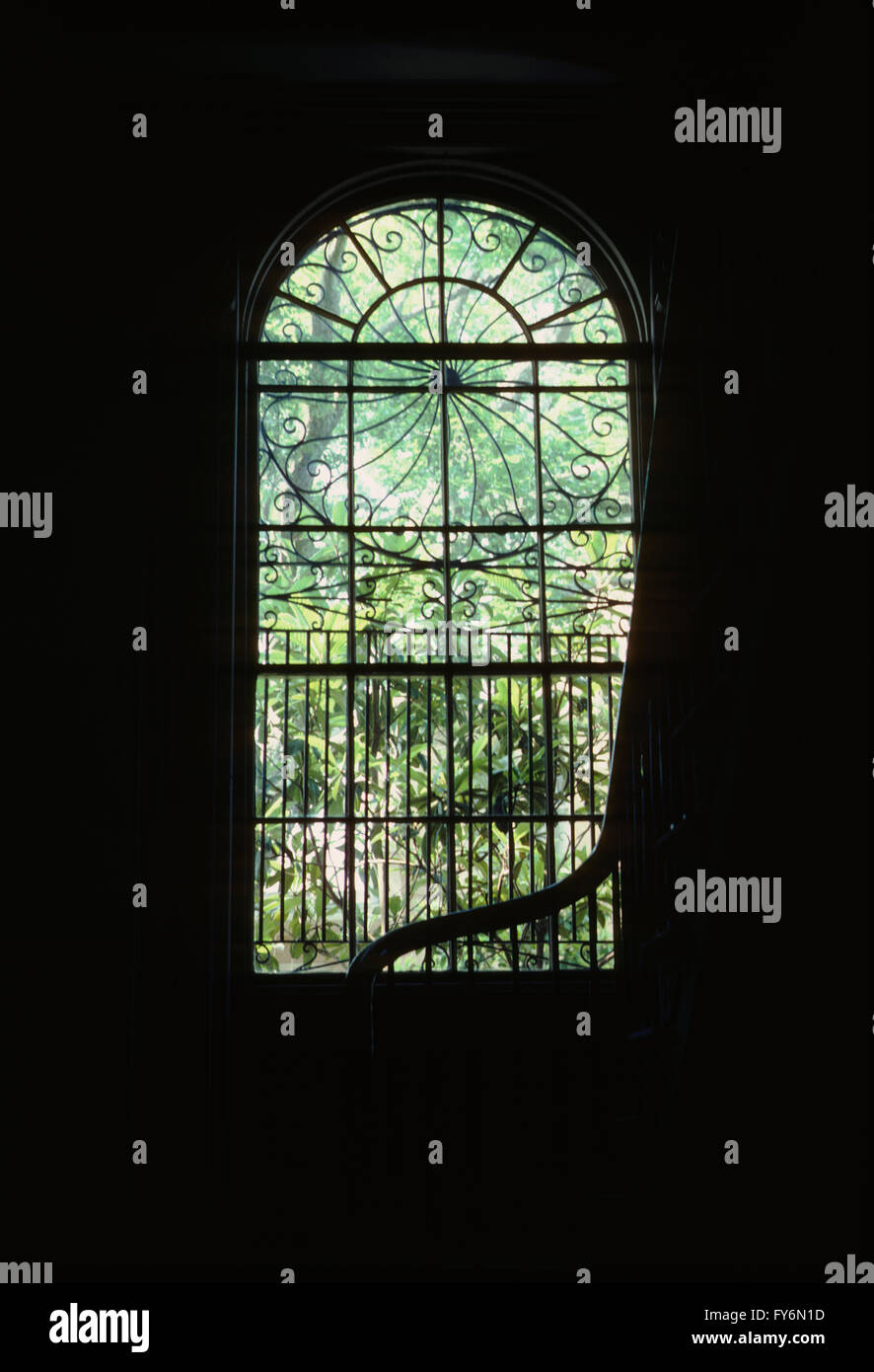 Vue de l'intérieur à travers la fenêtre en fer forgé orné ; traitement accueil historique ; Charleston, Caroline du Sud, USA Banque D'Images