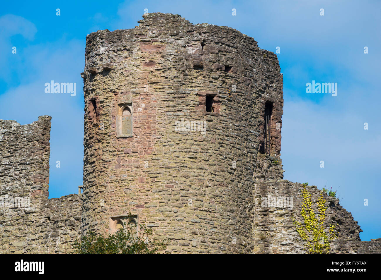 Tour de Mortimer à Ludlow Castle dans le Shropshire, England, UK. Banque D'Images