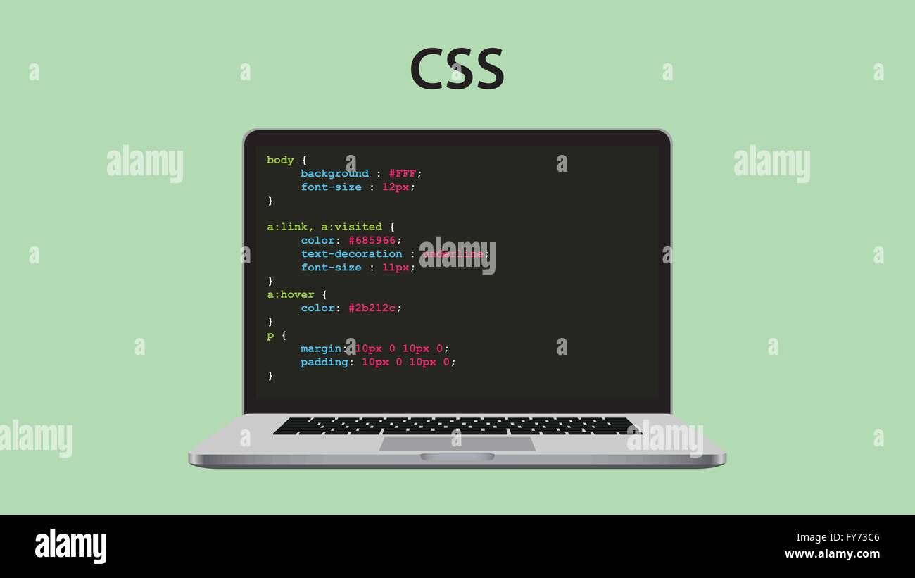 Feuilles de style en cascade CSS programmation avec ordinateur portable et le code de script Illustration de Vecteur